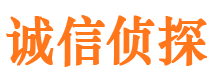 建湖市私人调查